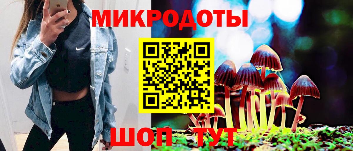 Псилоцибиновые грибы GOLDEN TEACHER Мурино